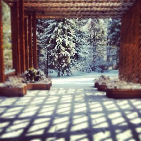Vadaszhaz Guest house *